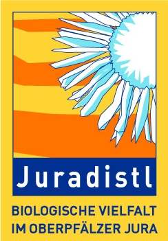 Juradistl